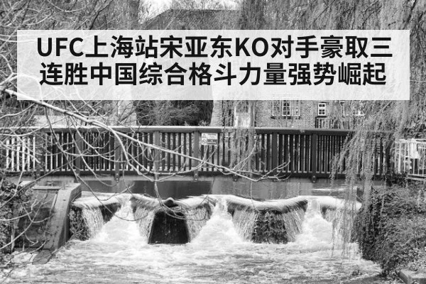 UFC上海站宋亚东KO对手豪取三连胜中国综合格斗力量强势崛起